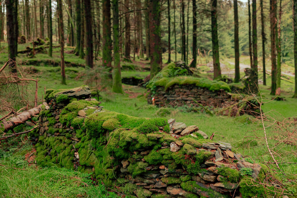 Tholtan Hunting Isle of Man