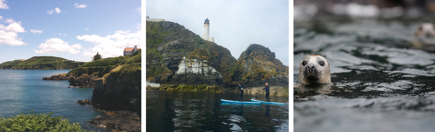 Maughold Head, paddle boarders by the lighthouse and grey seals