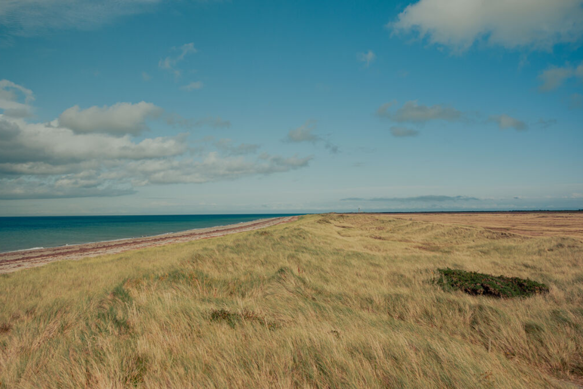 The Ayres National Nature Reserve