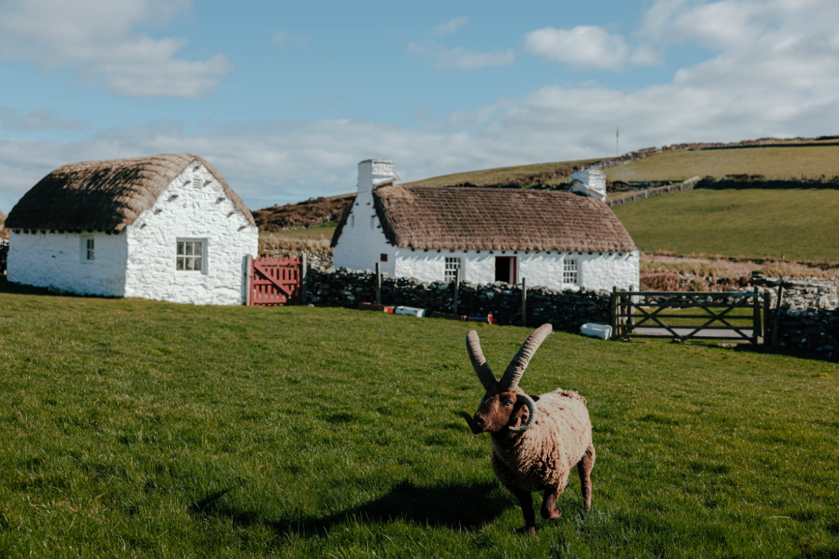Cregneash