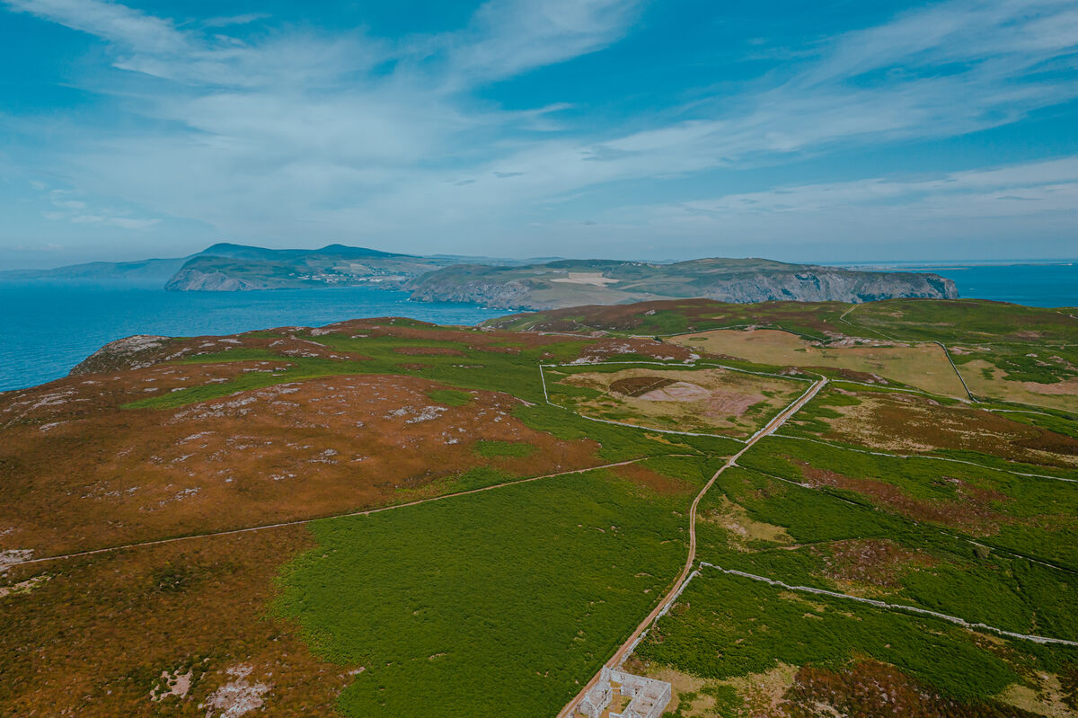 Calf of Man 