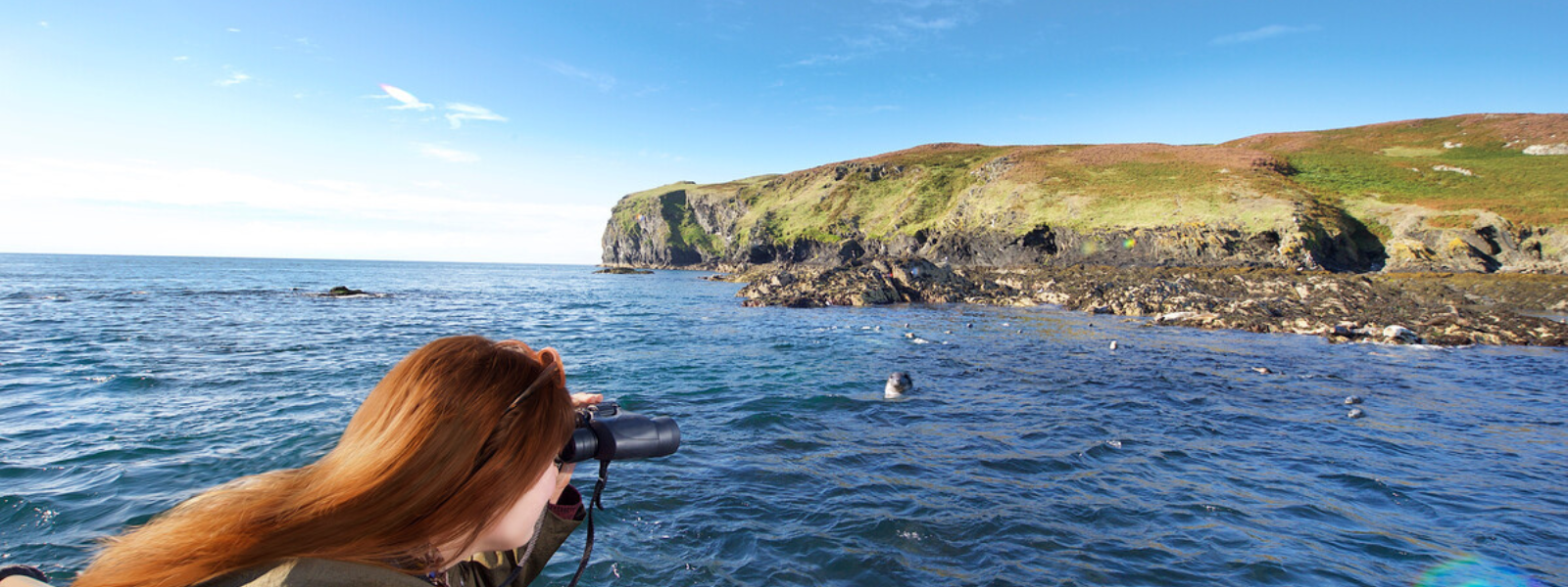 Seal Spotting in the Isle of Man