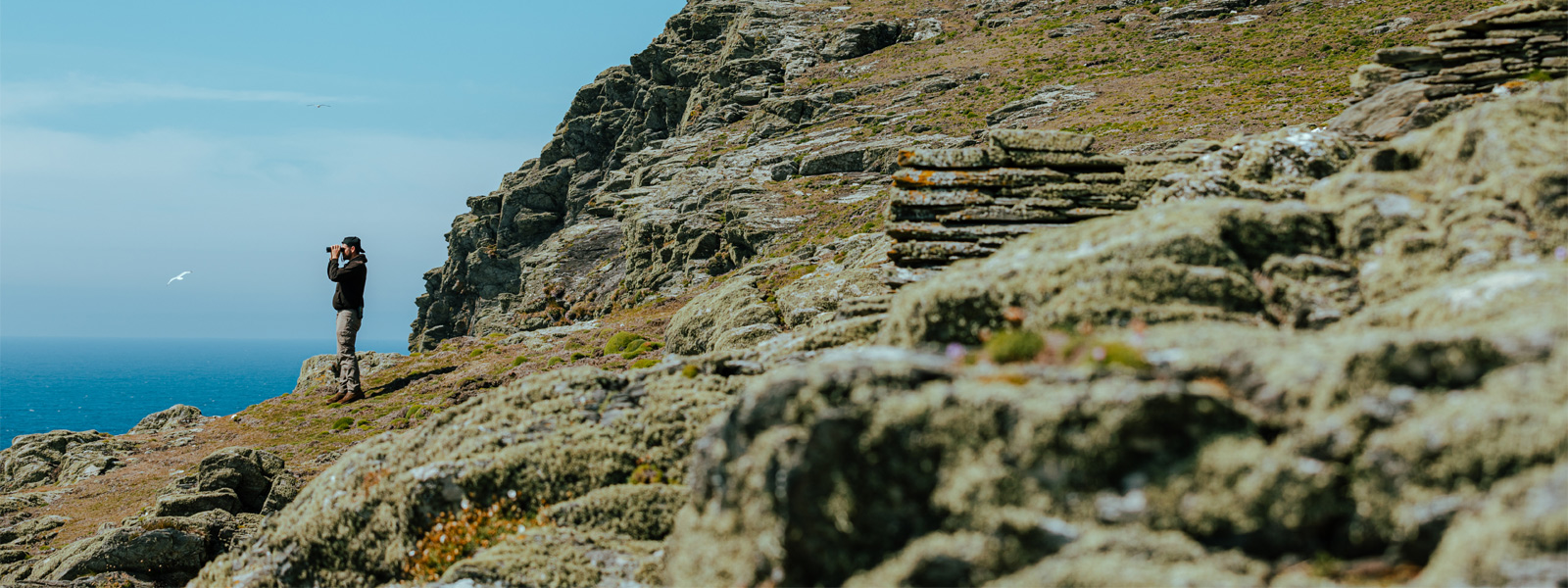 A bird watcher on the Calf of Man