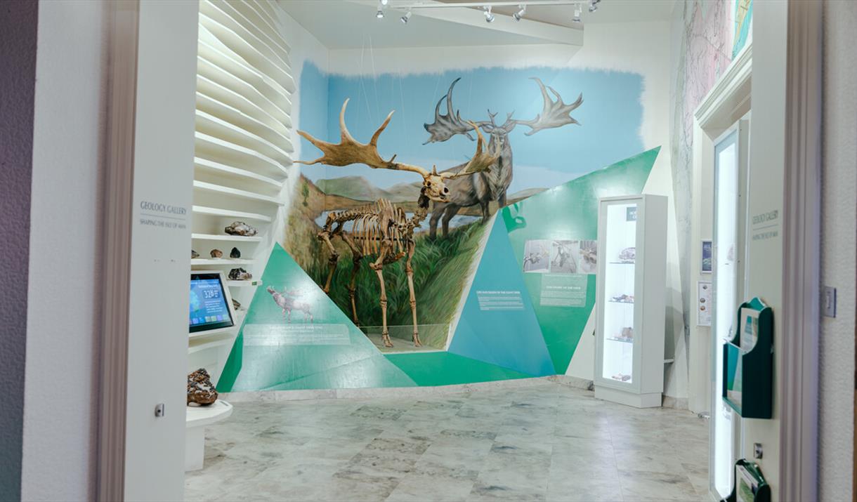 Manx Museum Giant Elk