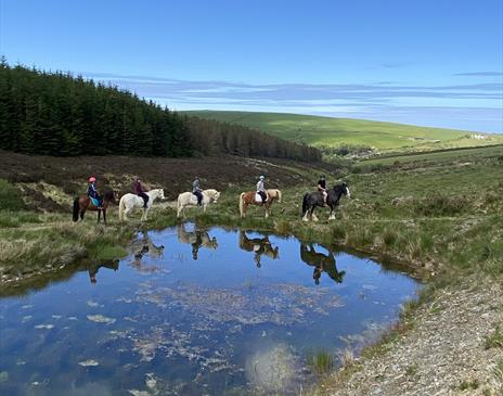 Ballahimmin Riding and Pony Trekking Centre