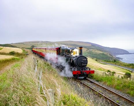Steam Train