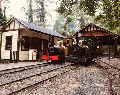 Sea Lion and visiting locomotive Polar Bear at Lhen Coan station