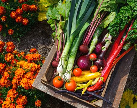 Colby Farmers' Market