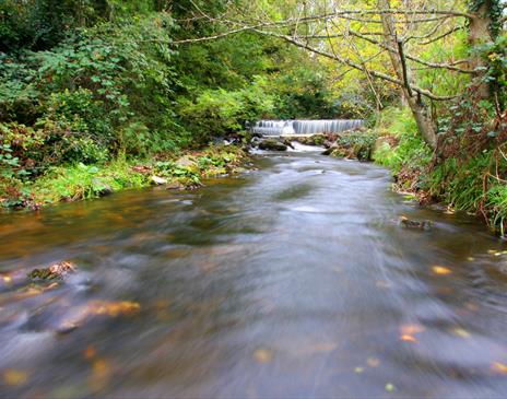 The Silver Burn River