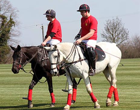 Triskelion Polo Club