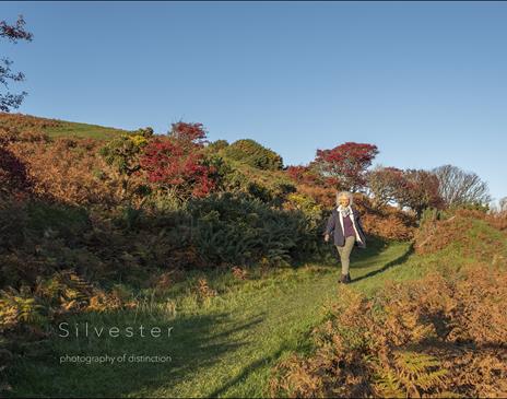 Manx Walks