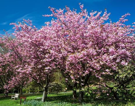 Tynwald National Park & Arboretum