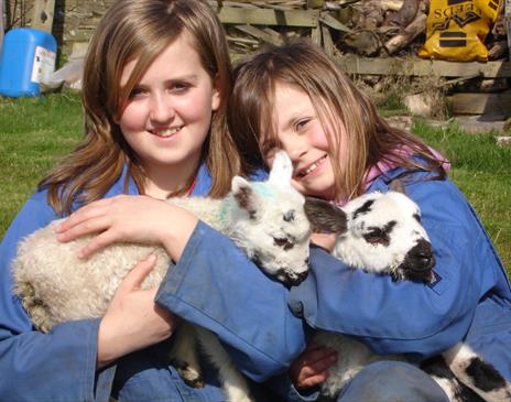 Children enjoying playing with orphaned lambs