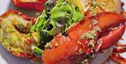 Lobster on a plate