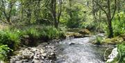 River Glass