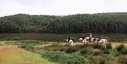 Ballahimmin Riding and Pony Trekking Centre