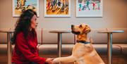 Isle of Man Steam Packet Company Manxman Pet Lounge