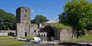 The grounds and ancient ruins at Rushen Abbey