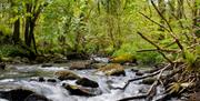 Douglas River Glass Walk