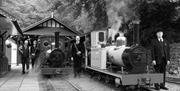 Sea Lion and Polar Bear Victorian Recreation at Lhen Coan Station