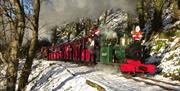 Sea Lion and Annie during snow filled Santa Trains