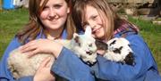 Children enjoying playing with orphaned lambs