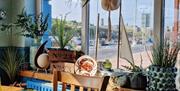 Restaurant table with view over the marina and castle.
