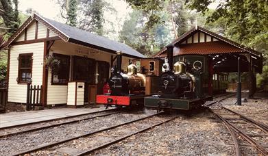 Sea Lion and visiting locomotive Polar Bear at Lhen Coan station