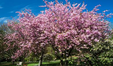 Tynwald National Park & Arboretum