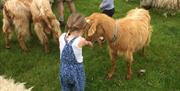 Children enjoy getting close to our super friendly animals at Knockaloe Beg Farm