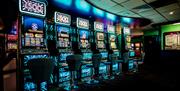 Bingo slots casino bar entertainment cafe