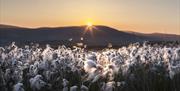 Sunrise over Glen Rushen on the Isle of Man, swathes of cotton grass lit by the sunshine.
Photography Workshops with Mark Boyd Photography.