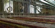 A photo of the heddles and warp on the Griffith Loom