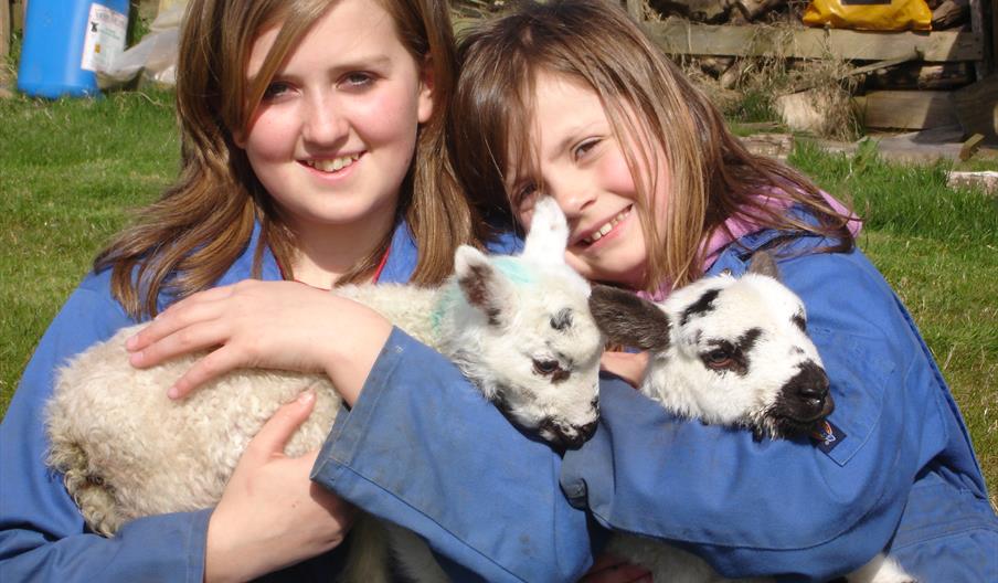 Children enjoying playing with orphaned lambs